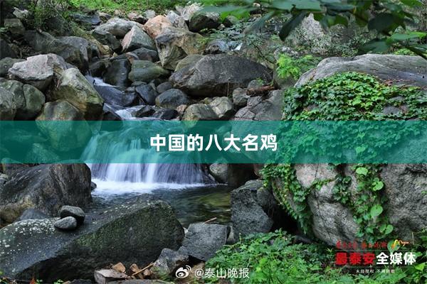中国的八大名鸡