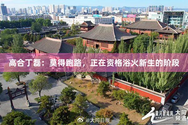 高合丁磊：莫得跑路，正在资格浴火新生的阶段