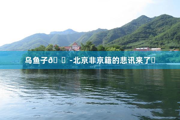 乌鱼子😭北京非京籍的悲讯来了❗