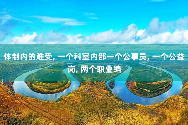 体制内的难受, 一个科室内部一个公事员, 一个公益岗, 两个职业编