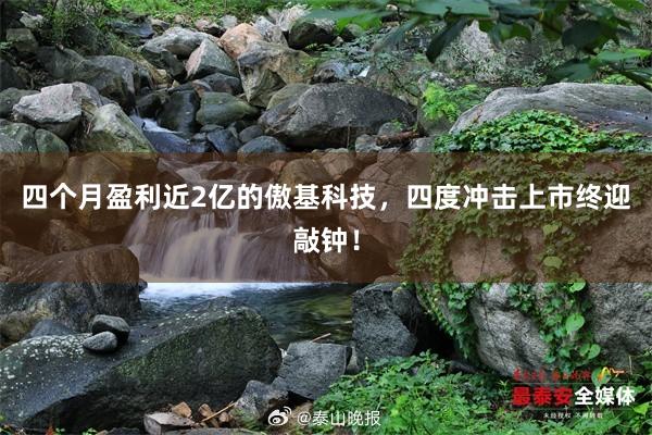 四个月盈利近2亿的傲基科技，四度冲击上市终迎敲钟！