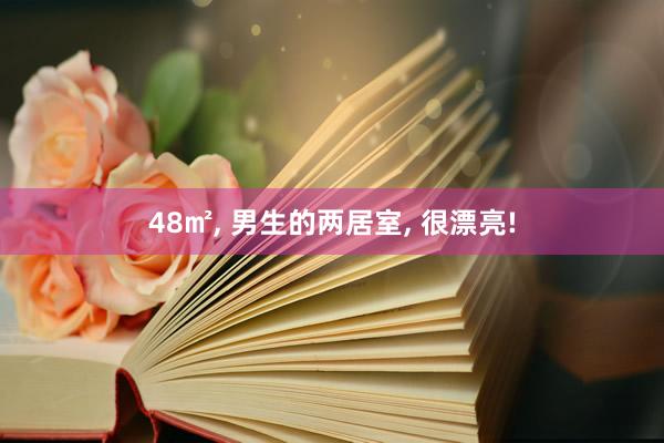 48㎡, 男生的两居室, 很漂亮!