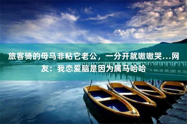 旅客骑的母马非粘它老公，一分开就嗷嗷哭…网友：我恋爱脑是因为属马哈哈