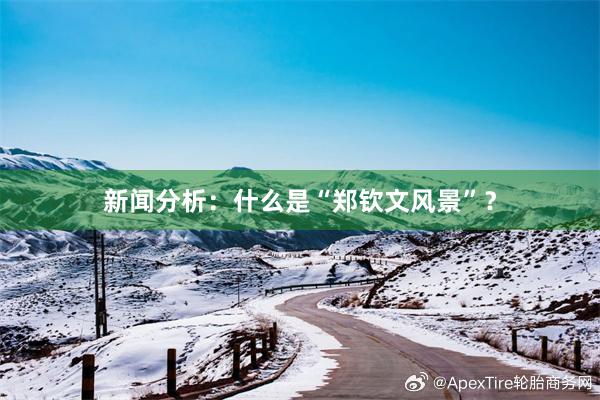 新闻分析：什么是“郑钦文风景”？