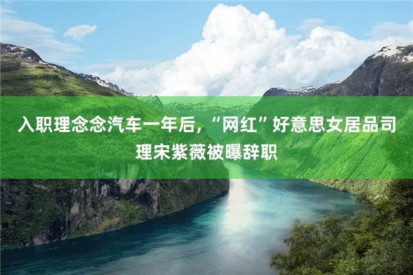 入职理念念汽车一年后, “网红”好意思女居品司理宋紫薇被曝辞职